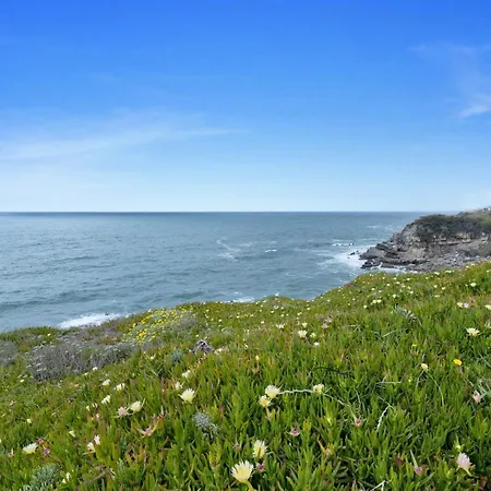 Sete Mares * Colares